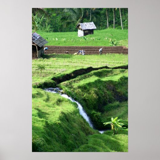 Arbeiten mit Feldern Poster (Vorne)