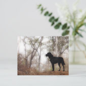 Arbeiten von Hunde Scooby am Arbeitsplatz Hunde zu Postkarte (Stehend Vorderseite)