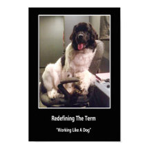 Arbeiten wie ein Hundepuster