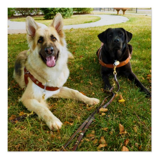 Arbeitende Mädchen Poster (Vorderseite)