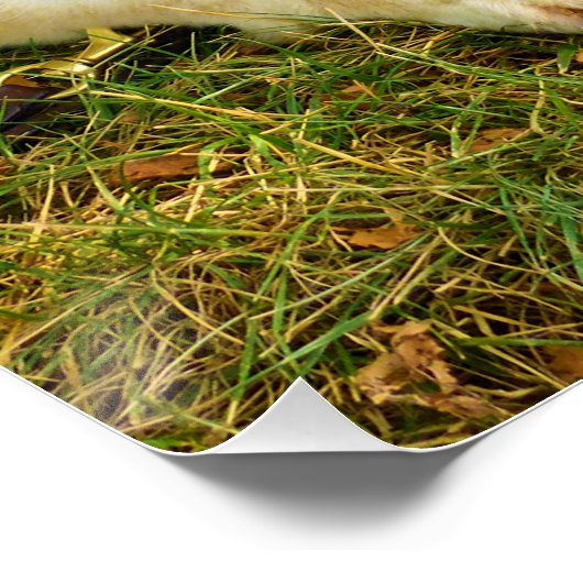 Arbeitende Mädchen Poster (Ecke)