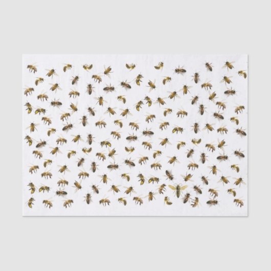 Arbeiter-Bienen und Queen Apiary Wrap und Decoupag Seidenpapier (Vorderseite)