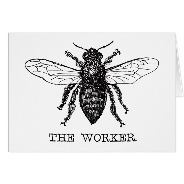 Arbeitnehmer Bee Schwarz-weiß Hummel Vintag (Vorderseite (Horizontal))