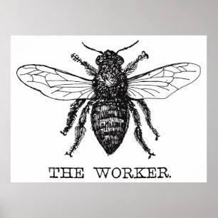 Arbeitnehmer Bee Schwarz-weiß Hummel Vintag Poster