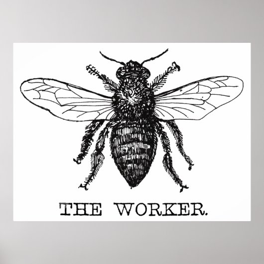 Arbeitnehmer Bee Schwarz-weiß Hummel Vintag Poster (Vorne)