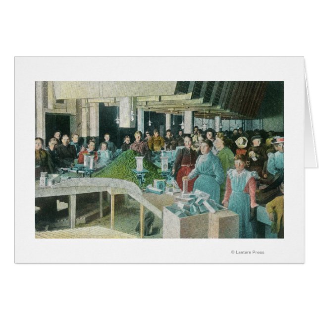 Arbeitnehmer, die Saatgutanfälle in der Pflanze ve (Vorderseite (Horizontal))