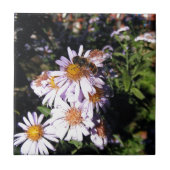 Arbeitsbienenämter Fliese (Vorderseite)