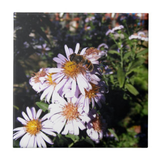 Arbeitsbienenämter Fliese