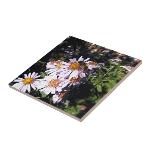 Arbeitsbienenämter Fliese (Seite)