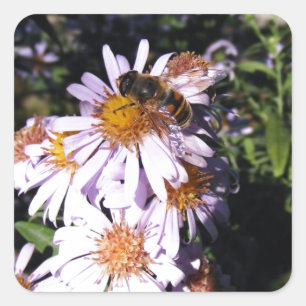 Arbeitsbienenämter Quadratischer Aufkleber