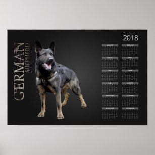 Arbeitsdeutscher Schäferhund - GSD-Kalender 2018 Poster