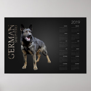 Arbeitsdeutscher Schäferhund - GSD-Kalender 2019 Poster