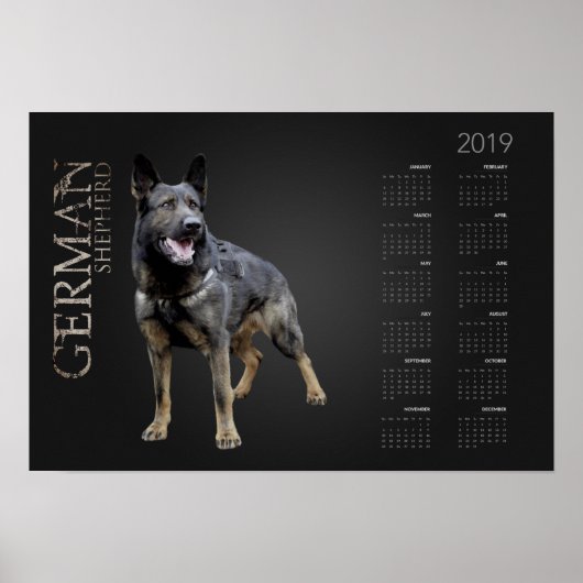 Arbeitsdeutscher Schäferhund - GSD-Kalender 2019 Poster (Vorne)