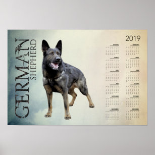 Arbeitsdeutscher Schäferhund - GSD-Kalender 2019 Poster