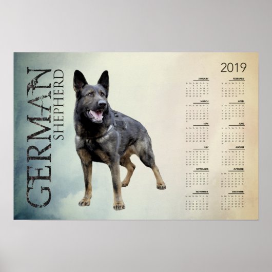 Arbeitsdeutscher Schäferhund - GSD-Kalender 2019 Poster (Vorne)