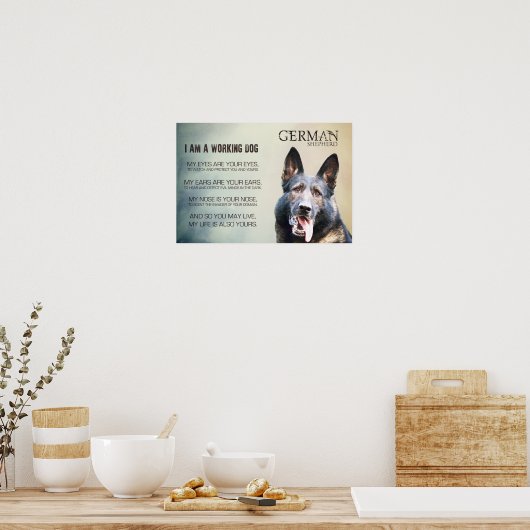Arbeitsdeutscher Schäferhund - GSD Poster (Küche)