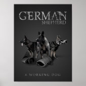 Arbeitsdeutscher Schäferhund - GSD Poster (Vorne)