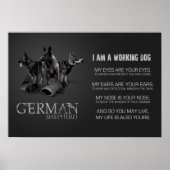 Arbeitsdeutscher Schäferhund - GSD Poster (Vorne)