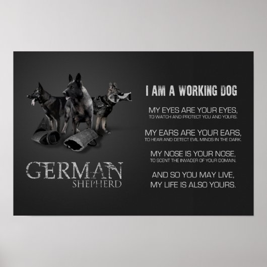 Arbeitsdeutscher Schäferhund - GSD Poster (Vorne)