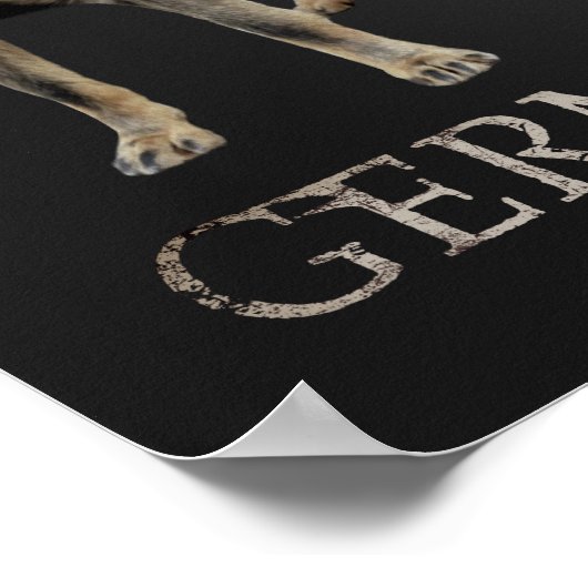 Arbeitsdeutscher Schäferhund - GSD Poster (Ecke)