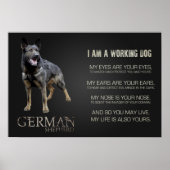 Arbeitsdeutscher Schäferhund - GSD Poster (Vorne)