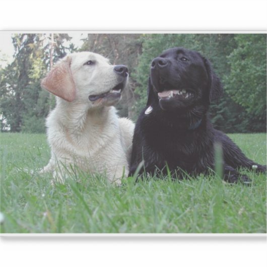 Arbeitsgruppe Aufkleber (Vorderseite)