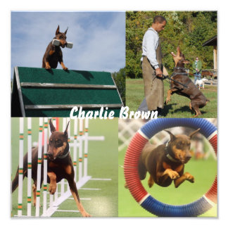 Arbeitshund Fotodruck