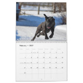 Arbeitskalender 2023 kalender (Feb 2027)