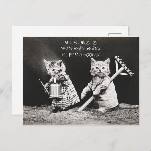 Arbeitskätzchen Feiertagspostkarte (Vorne/Hinten)