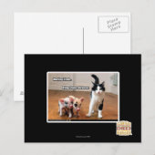 Arbeitskitte Postkarte (Vorne/Hinten)