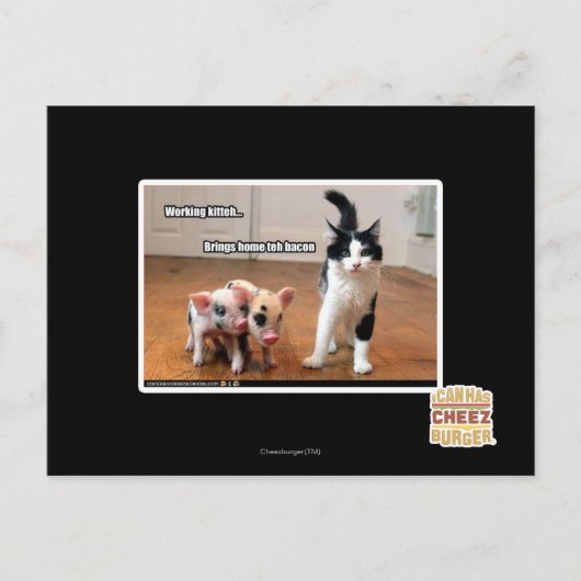 Arbeitskitte Postkarte (Vorderseite)