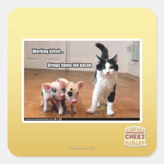 Arbeitskitte Quadratischer Aufkleber (Vorderseite)