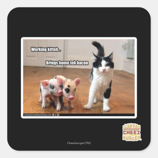 Arbeitskitte Quadratischer Aufkleber (Vorderseite)