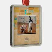 Arbeitskitteh Silbernes Ornament (Rechts)