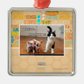 Arbeitskitteh Silbernes Ornament (Vorne)