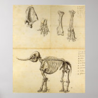 Arbeitskizze des Mastodon