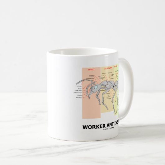 Arbeitskraft-Ameisen-Innere (Ameisen-Anatomie) Kaffeetasse (VorderseiteRechts)