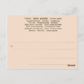 Arbeitskräfte für Esso in Aruba Postkarte (Rückseite)