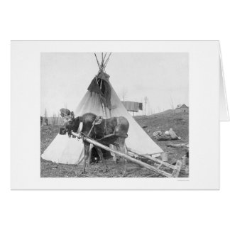 Arbeitsloser Elch Teepee 1916