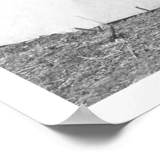 Arbeitsloser Elch Teepee 1916 Poster (Ecke)