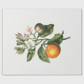ARBEITSPAPIER: BITTER ORANGE BLOSSOM GESCHENKPAPIER (Flach)