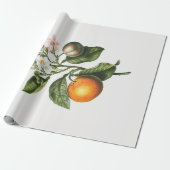 ARBEITSPAPIER: BITTER ORANGE BLOSSOM GESCHENKPAPIER (Ungerollt)