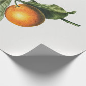 ARBEITSPAPIER: BITTER ORANGE BLOSSOM GESCHENKPAPIER (Ecke)