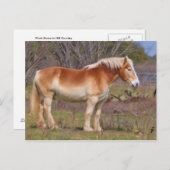 Arbeitspferd im Hügelland Postkarte (Vorne/Hinten)