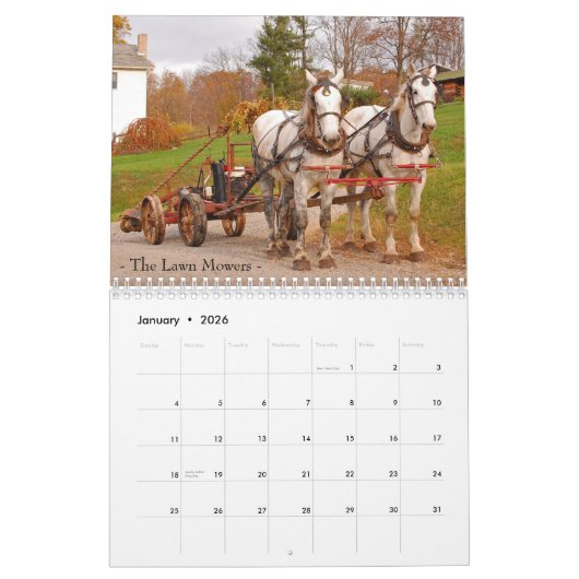 Arbeitspferde des Amish Kalender (Jan 2026)