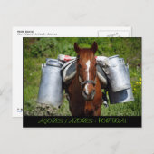 Arbeitstier Postkarte (Vorne/Hinten)