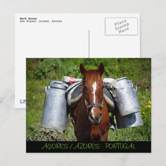 Arbeitstier Postkarte (Vorne/Hinten)