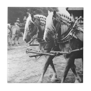 Arbeitstische Pferde in Schwarz und Weiß Fliese