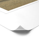 Arbol de Piedra (The Rock Tree) Poster (Ecke)