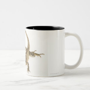 Arboreal agamid Spezieseingeborener bis Ost2 Zweifarbige Tasse
